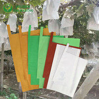 Mango beschermzakken, druivenbescherming, groeiende papieren zakken, fabriek, landbouw, hitte verzegelde, wasbehandelde papieren fruitbescherming, CMYK