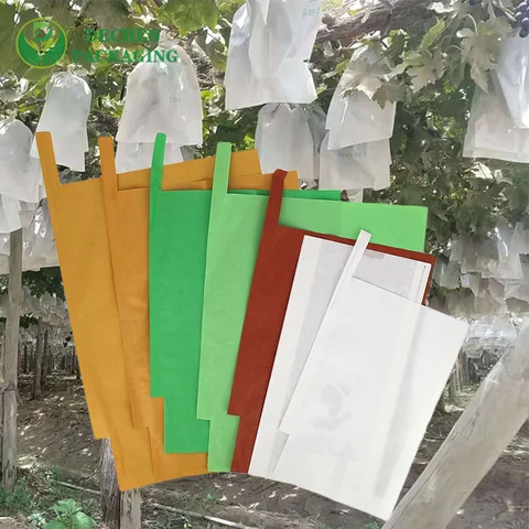 Grapes Protection Paper Bag Peru Callao Paita