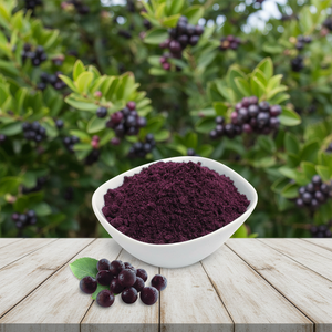 Polvo de <span class=keywords><strong>Maqui</strong></span> Liofilizado Orgánico Natural Silvestre de Grado Alimenticio, Extracto de Fruta Soluble en Agua, el Más Vendido, en Botella o Tambor/Lata - Product Image 1