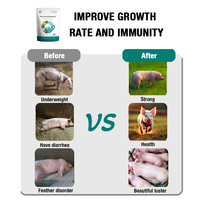 Prémélange d'acides aminés de qualité alimentaire pour l'engraissement rapide des porcs, additif de naissance pour la promotion de la croissance des porcs et des lapins