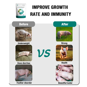 Premezcla Especial de Vitaminas, Aditivo para Alimento Mixto para Ganado Ovino, Mejora la Eficiencia del Alimento, Potenciador de Crecimiento para Cerdos, Crecimiento Más Rápido - Product Image 4