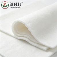 Géotextile aiguilleté WSL 650g pour la filtration et le drainage des talus ferroviaires, antidérapant routier, à fibres longues, prix bas