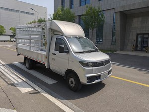 Camionnette électrique Reach Ren T30 |   Haute capacité de charge et longue portée pour les utilisateurs commerciaux mondiaux - Product Image 2