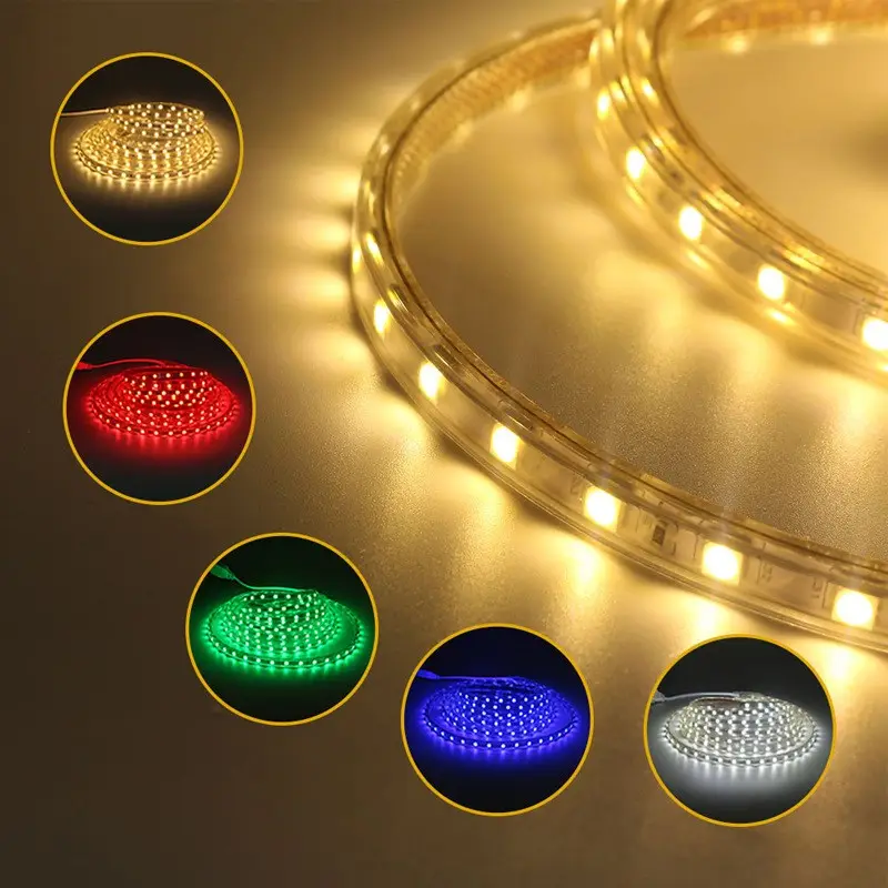 High Brightness SMD 5050 RGB IP68 Waterproof 220V Led Flexible Strip Light