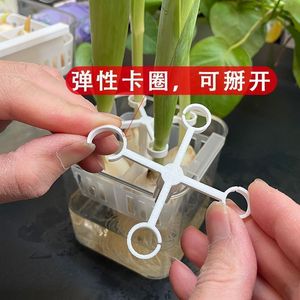 Soporte antivuelco para tulipanes hidropónicos, soporte de cesta de 4 orificios, equipo de riego para estabilidad del crecimiento - Product Image 2