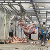 Enlèvement de la peau hydraulique Dehider Moteur complet de l'abattoir de bovins Halal Équipement essentiel pour l'abattoir d'abattoir