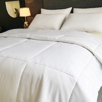 Ensemble de couette moderne en microfibre garnie de polyester, 1 pièce, blanc, couette d'hôtel pour lit plat avec motif tissé, écologique, pour usage domestique