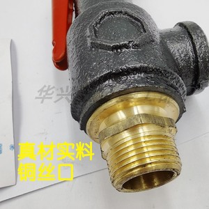 Válvula de Seguridad A27T-16 Roscada Ajustable para Vapor, Agua y Aire, Tipo de Liberación, Estructura Abierta - Product Image 1