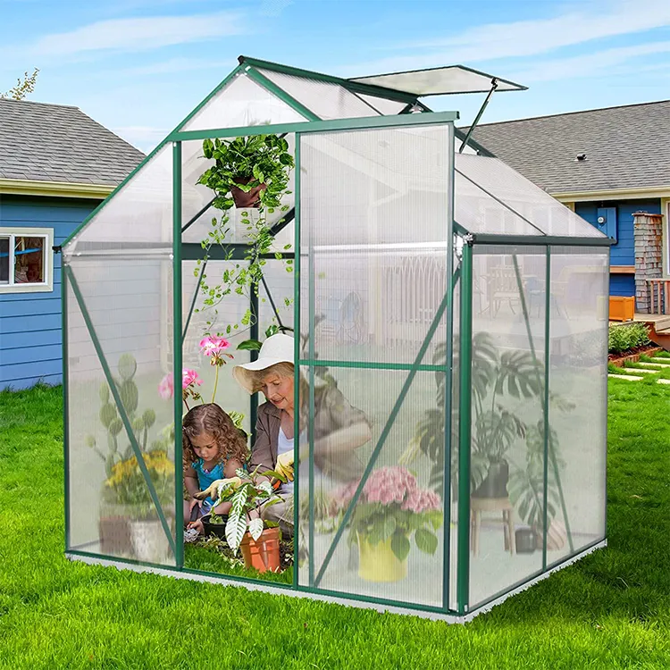 Apg — serre de jardin portable en aluminium et métal, petite serre verte avec cadre en polycarbonate, à bas prix