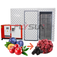 Équipement de séchage de grande capacité à haute température Machine de déshydratation des fruits frais Séchoir à canneberges et à pruneaux