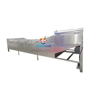 Brine egg processing production line, egg cooking and shelling brine production line in fully automatic operation