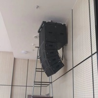 Matriz de línea dual de 10 pulgadas Sistema de altavoces de matriz de línea pasiva Equipo de sonido de audio Altavoces Sistema de audio Sonido
