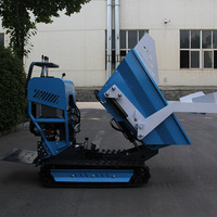 In China Hergestellter Mini-Lader mit CE- und EPA-Zertifizierung für Landwirtschaft, Bau und Mikrobergbau, Diesel-Raupenkipper, Schlamm-Buggy mit Frontmotorpumpe