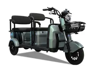 3 Wheel Cargo Bike Passenger Motorcycle Adult Cheap Price Recreational Load Passengers Electric Tricycle