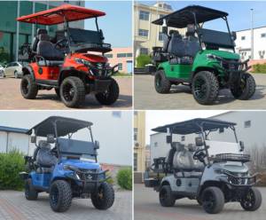 热销合法上路四人座低速电动车 48V 锂电池 25英里/小时 可折叠挡风玻璃低速电动车，适合小区通勤 - Product Image 5