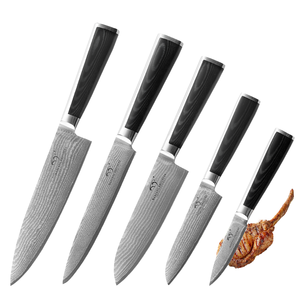 Ensemble de 5 couteaux de chef professionnels en acier Damas à haute teneur en carbone avec manche en résine et étui en cuir, couteaux Viking ambidextres - Product Image 2