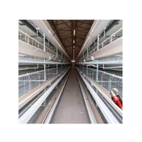 Cage à poulets automatique, cage de type H entièrement automatique, fermes avicoles personnalisables, fermes de poulets