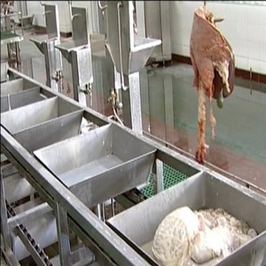 Sistema di Ispezione per la Macellazione del Bestiame per la Pulizia di Prodotti di Macelleria Rossi e Bianchi con Macchina Lavatrice per Trippa - Product Image 4