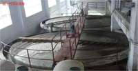 Sugar Cane Plant 50 MT Per Day Making High Quality Refined White/brown Sugar
