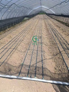 <span class=keywords><strong>2025</strong></span> Neues langlebiges 16-mm-Tropfleitungs-Tropf bewässerungs system Tropf bandraum zum Gießen und Tropf bewässerung - Product Image 6