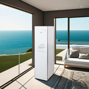 Macchina Intelligente per la Cura degli Indumenti con Stiratura a Vapore, Asciugatura e Disinfezione, Ferro da Stiro a Vapore PTC 70-80 ℃ - Product Image 1