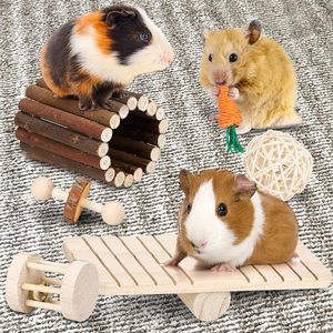 Set di giocattoli da masticare per animali piccoli Premium per criceti porcellini d'India cincillà gerbilli topi e ratti accessori in legno per la cura dei denti - Product Image 1