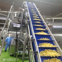 Ligne de production de frites surgelées semi-frites automatiques à bas prix en Chine 2026, 1 tonne/h, 2 tonnes/h, 3 tonnes/h, machine à fabriquer des bâtonnets de pommes de terre
