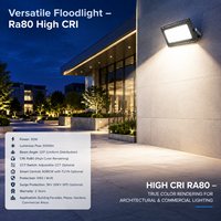 Projecteur LED extérieur étanche à lumière chaude de haute qualité, 50W, 70W, 100W, 150W, 200W, 250W, avec réflecteur, sécurité renforcée, fournisseur d'usine
