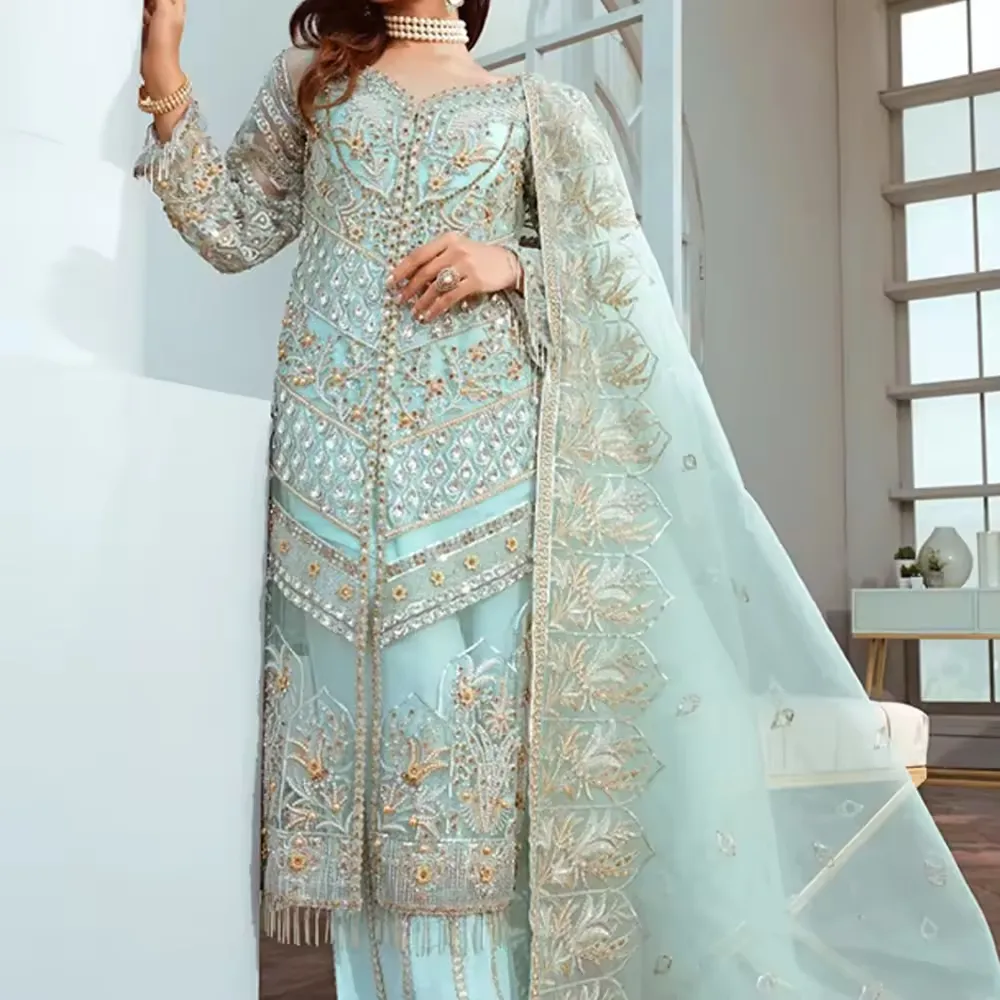 Grazioso Pakistani indiano formale Party Wear da donna abiti da donna colori chiari nuovi abiti da festa di moda