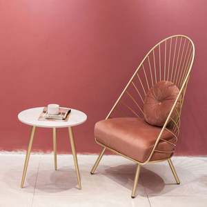 Silla Individual de Tela con Respaldo Alto, Estilo Nórdico Moderno, de Lujo Ligero, para Balcón o Apartamento, con Estructura de Hierro - Product Image 5