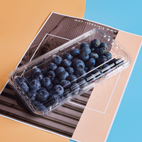 Kotak Kemasan Buah Berry Stroberi Blueberry Ramah Lingkungan dari Plastik PET Transparan 250G Sekali Pakai dengan Lubang