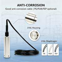 Sensor de Nivel de Líquido Hidrostático de Acero Inoxidable 316L para Tanque de Almacenamiento Industrial, 4-20mA RS485 Modbus, Precisión de 0.5% FS