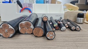 YJV XLPE İzoleli Güç Kablosu 0.6/1kV Bakır PVC Kaplı Elektrik Yeraltı Kablosu <span class=keywords><strong>10mm2</strong></span>-240mm2 OEM Fabrika Tedarikçisi - Product Image 6