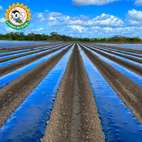 Film de paillage biodégradable pour jardin, en PBAT PLA, compostable, pour l'agriculture, certifié DIN BPI