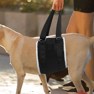 Herstel Na De Operatie Gewrichtsproblemen Huisdierenverzorgingsharnas Met Oxford-Doek En Nylon Materiaal - Product Image 6