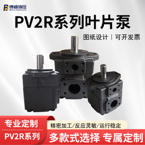 Bombas de Paletas de Alta Eficiencia Serie PV2R, Sistemas de Bomba Hidráulica de Desplazamiento Fijo Personalizables, Directo de Fábrica - Product Image 4