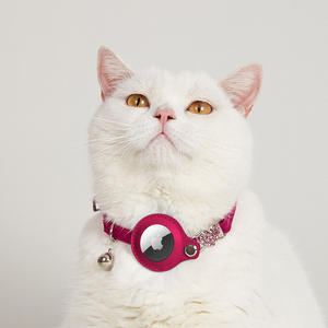 Collar Reflectante de Cuero <span class=keywords><strong>con</strong></span> <span class=keywords><strong>GPS</strong></span> <span class=keywords><strong>para</strong></span> Mascotas, Accesorio <span class=keywords><strong>con</strong></span> Soporte <span class=keywords><strong>para</strong></span> Gato, Accesorios <span class=keywords><strong>para</strong></span> Mascotas, Collar de Diamantes - Product Image 6