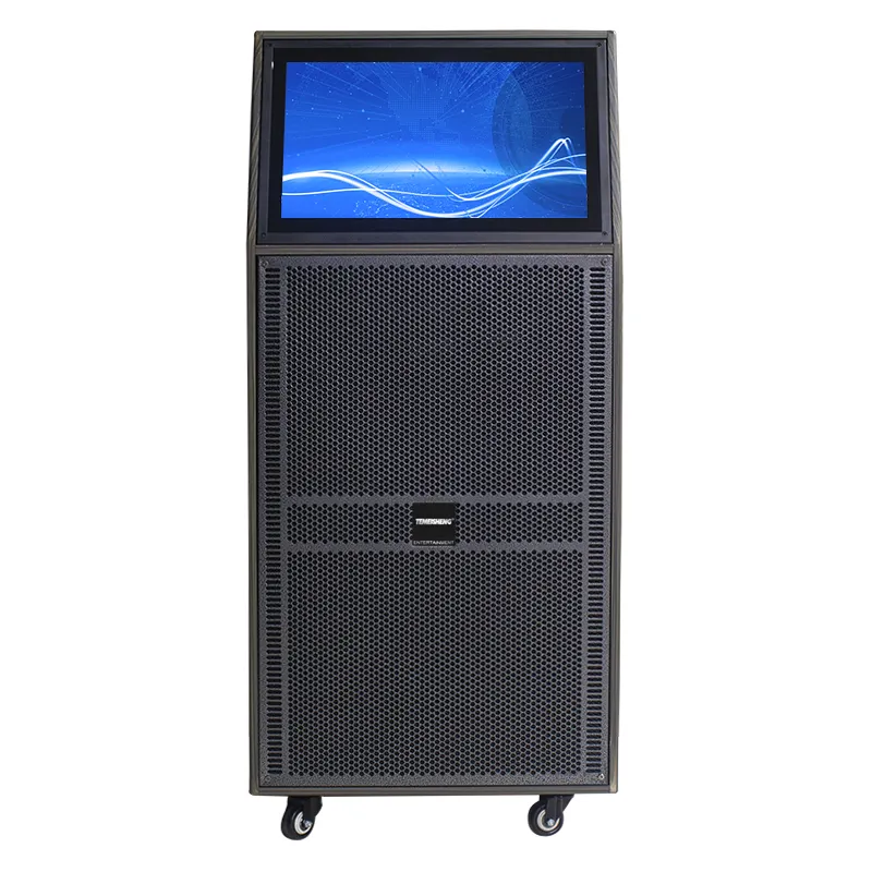 T Nueva pantalla táctil Dual 12 pulgadas portátil 120W Subwoofer de escenario al aire libre Bluetooth Karaoke Trolley Altavoces con ruedas