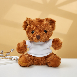 18CM Logo khusus mainan maskot Teddy Bear rumah sakit gereja promosi hadiah wisuda Souvenir kustom T-shirt Logo mainan mewah murah - Product Image 2