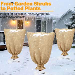 <span class=keywords><strong>Bolsas</strong></span> <span class=keywords><strong>de</strong></span> <span class=keywords><strong>Tela</strong></span> <span class=keywords><strong>de</strong></span> Arpillera Beige <span class=keywords><strong>de</strong></span> Bajo Pedido Mínimo, Ecológicas, <span class=keywords><strong>para</strong></span> Plantas, Cubierta <span class=keywords><strong>para</strong></span> Plantas <span class=keywords><strong>de</strong></span> Invierno, Protección contra Heladas, Sacos Reutilizables, Bolsa <span class=keywords><strong>de</strong></span> <span class=keywords><strong>Tela</strong></span> <span class=keywords><strong>para</strong></span> Heladas con Cuerda - Product Image 5