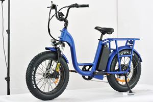 Bici elettrica <span class=keywords><strong>OTM</strong></span> 20 pollici bici elettrica 48V 750W mozzo posteriore motore consegna Fast Food bici elettrica - Product Image 4