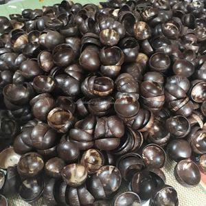 Cuencos de coco compostables sostenibles hechos a mano Estilo de vida vegano orgánico-Hecho en Vietnam - Product Image 6