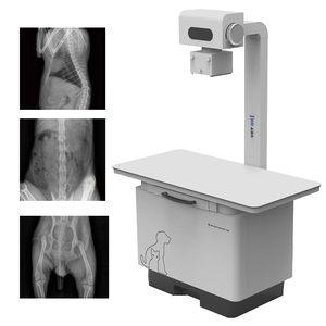 IN-32KW-P Table de radiographie numérique vétérinaire dynamique haute fréquence pour animaux de compagnie - Product Image 4
