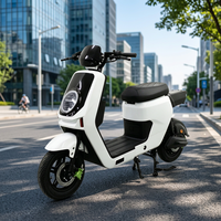 Moto électrique au lithium 2000W pour adultes, vélo électrique haute vitesse, cyclomoteur 1500W