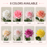 Fleurs artificielles Calla Lily en EVA de qualité supérieure pour la décoration de la maison, les mariages, les fêtes, les arrangements floraux, les accessoires de mise en scène