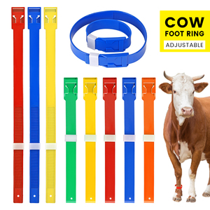 Kleurrijk Vee Id Tags Enkelband Lage Prijs Runderen Beenbanden Voetringen Te Koop - Product Image 1