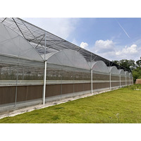 Grande serre Venlo agricole multi-travées avec système de chauffage de refroidissement pare-soleil de ventilation matériau PE pour la croissance des plantes