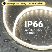 Bande lumineuse LED flexible ultra-mince SMD 2835, étanche IP66, pour extérieur, néon, pour maison, jardin, plafond, OEM ODM AC 110V 220V