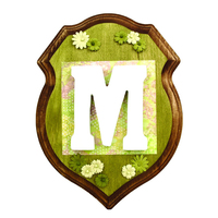 Plaque de récompense en bois vierge inachevé personnalisée, Plaque de bouclier en tilleul creux en noyer pour l'artisanat et les manteaux de bras à graver