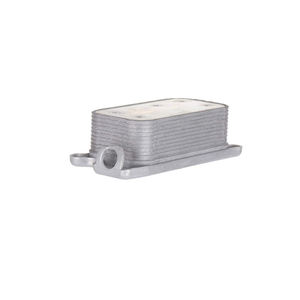 <span class=keywords><strong>MB</strong></span> W164 W211 ML320 GL350 W271 Refroidisseur d'huile moteur A2721880001 OEM 2721880001 pour Mercedes benz - Product Image 1